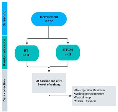 The effect of 8-weeks of combined resistance training and chocolate milk consumption on maximal strength, muscle thickness, peak power and lean mass, untrained, university-aged males